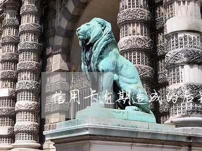 信用卡逾期造成的后果