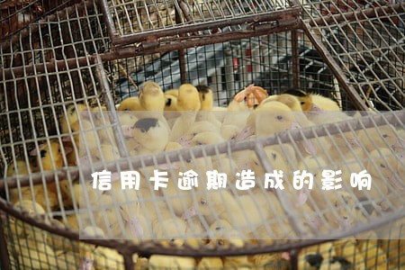 信用卡逾期造成的影响 信用卡逾期造成的影响