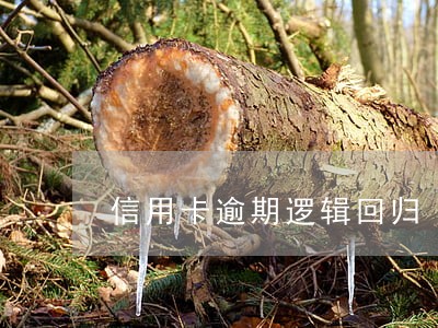 信用卡逾期逻辑回归 信用卡逾期逻辑回归