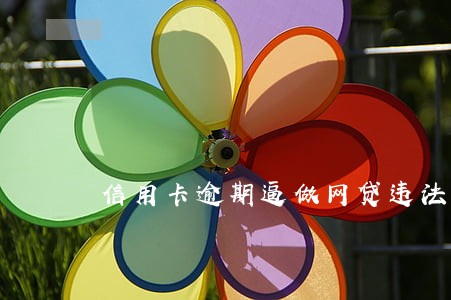 信用卡逾期逼做网贷违法 信用卡逾期逼做网贷违法