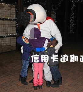 信用卡逾期逾期12天