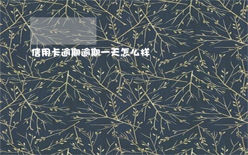 信用卡逾期逾期一天怎么样 信用卡逾期逾期一天怎么样