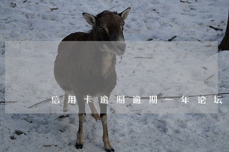 信用卡逾期逾期一年论坛 信用卡逾期逾期一年论坛