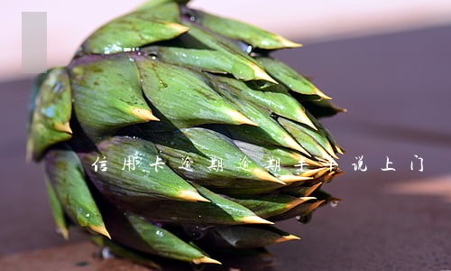 信用卡逾期逾期半年说上门 信用卡逾期逾期半年说上门