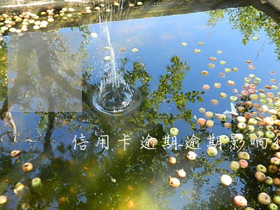 信用卡逾期逾期影响征信怎么办