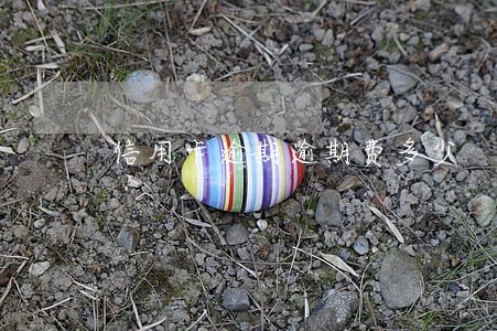 信用卡逾期逾期费多少 信用卡逾期逾期费多少