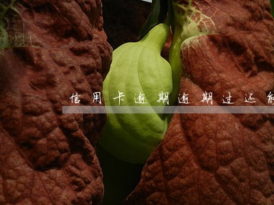 信用卡逾期逾期过还能分期吗