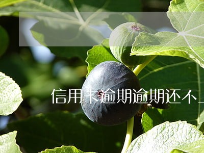 信用卡逾期逾期还不上怎么协商 信用卡逾期逾期还不上怎么协商