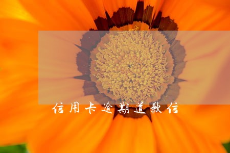 信用卡逾期道歉信 信用卡逾期道歉信