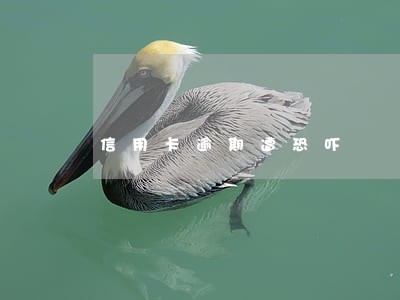 信用卡逾期遭恐吓