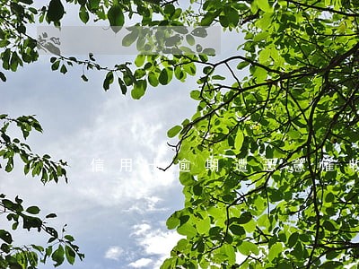 信用卡逾期遭恶意催收 信用卡逾期遭恶意催收