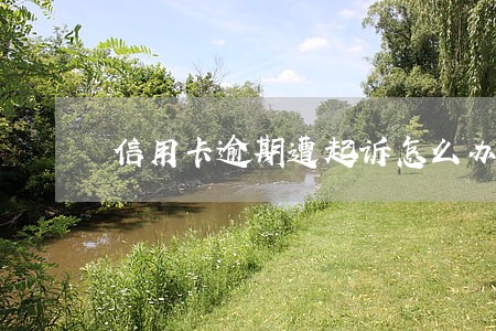 信用卡逾期遭起诉怎么办 信用卡逾期遭起诉怎么办