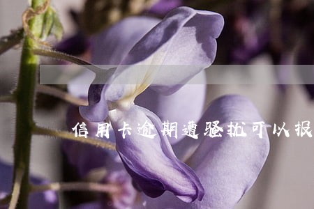 信用卡逾期遭骚扰可以报警吗 信用卡逾期遭骚扰可以报警吗