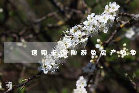 信用卡逾期避免房产拍卖 信用卡逾期避免房产拍卖