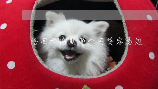信用卡逾期那个网贷容易过 信用卡逾期那个网贷容易过
