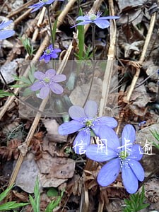 信用卡逾期那么可怕吗