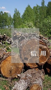 信用卡逾期那能贷