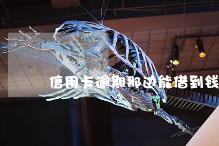 信用卡逾期那边能借到钱 信用卡逾期那边能借到钱