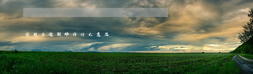 信用卡逾期邮件什么意思