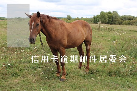 信用卡逾期邮件居委会 信用卡逾期邮件居委会