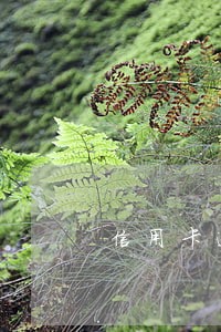 信用卡逾期邮件通知 信用卡逾期邮件通知