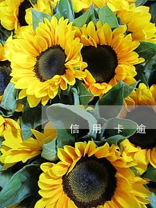 信用卡逾期邮寄信没收可以吗 信用卡逾期邮寄信没收可以吗