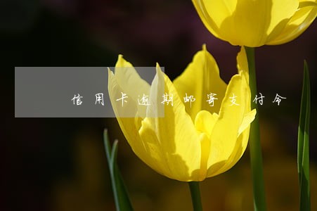 信用卡逾期邮寄支付令 信用卡逾期邮寄支付令