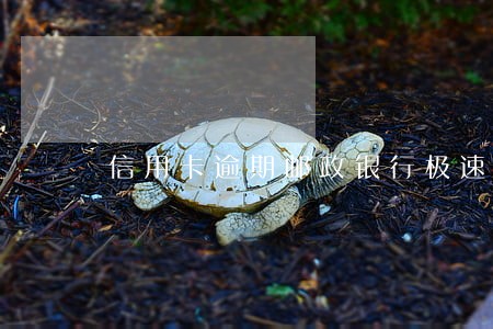 信用卡逾期邮政银行极速贷 信用卡逾期邮政银行极速贷