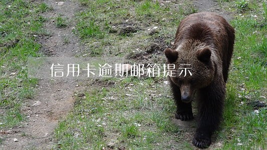 信用卡逾期邮箱提示 信用卡逾期邮箱提示