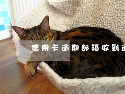 信用卡逾期邮箱收到通知 信用卡逾期邮箱收到通知