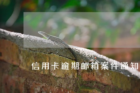 信用卡逾期邮箱案件通知 信用卡逾期邮箱案件通知
