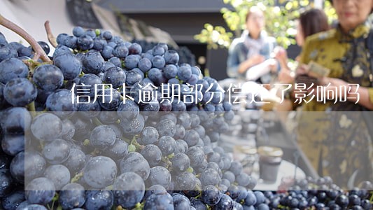 信用卡逾期部分偿还了影响吗