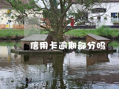 信用卡逾期部分吗