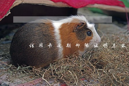 信用卡逾期部队证明怎么开 信用卡逾期部队证明怎么开