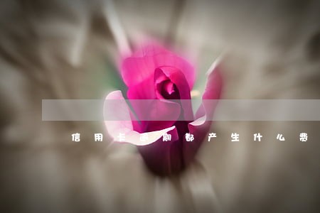 信用卡逾期都产生什么费用 信用卡逾期都产生什么费用