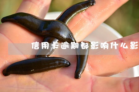 信用卡逾期都影响什么影响
