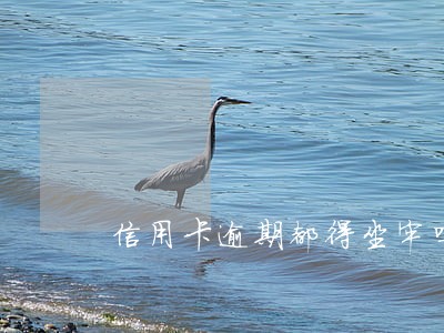 信用卡逾期都得坐牢吗