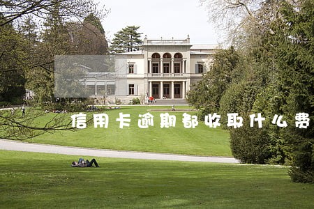 信用卡逾期都收取什么费用 信用卡逾期都收取什么费用