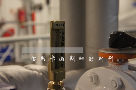 信用卡逾期都能判刑