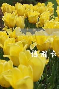信用卡逾期都要收的费用