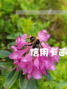 信用卡逾期都还完还有影响吗 信用卡逾期都还完还有影响吗