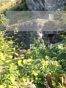 信用卡逾期都限制那些 信用卡逾期都限制那些
