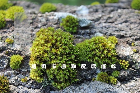 信用卡逾期配偶催收 信用卡逾期配偶催收