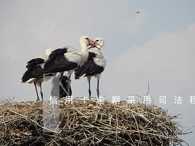 信用卡逾期采用司法程序怎么办 信用卡逾期采用司法程序怎么办