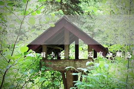 信用卡逾期里还有分期怎么办 信用卡逾期里还有分期怎么办