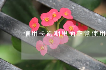 信用卡逾期里面正常使用吗 信用卡逾期里面正常使用吗
