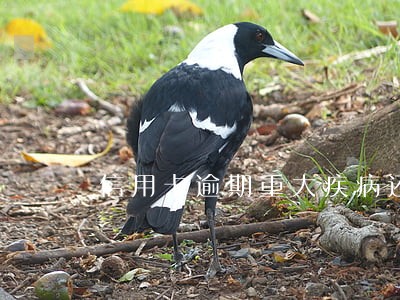 信用卡逾期重大疾病还不了怎么办 信用卡逾期重大疾病还不了怎么办