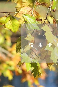 信用卡逾期重新分期2年