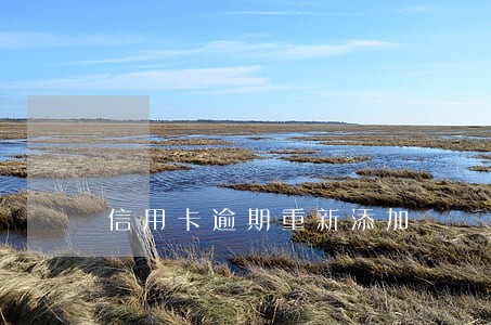 信用卡逾期重新添加