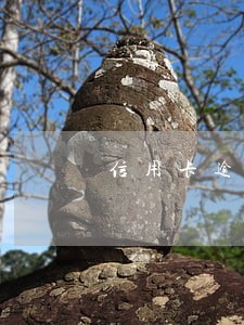 信用卡逾期重磅消息